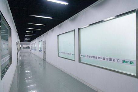 车间06.jpg